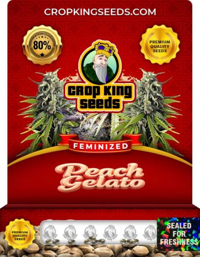 Peach Gelato Feminized