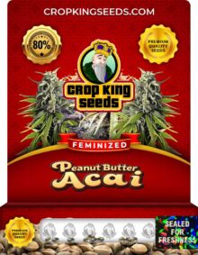 Peanut Butter Acai Strain Feminized Marijuana Seeds