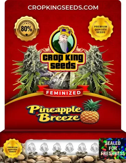 Pineapple Breeze Feminized