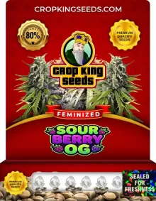 Sour Berry OG Feminized