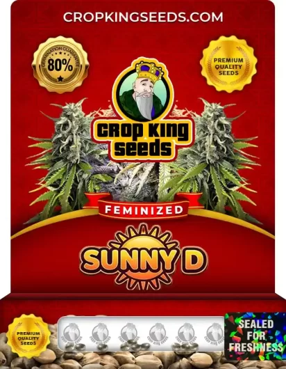 Sunny D Feminized