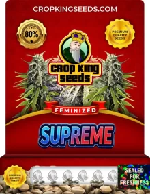 Supreme Feminized