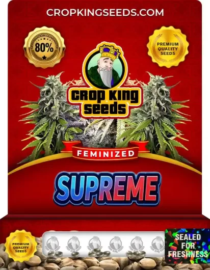 Supreme Feminized