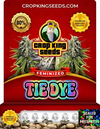 Tie Dye Feminized