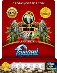 Tsunami Feminized