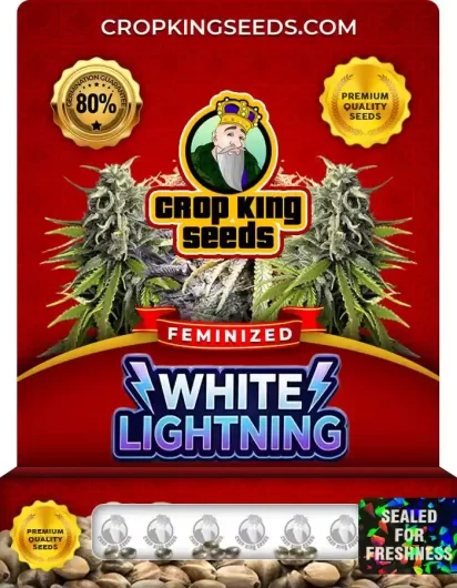 White Lightning Feminized