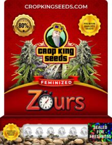 Zours Feminized