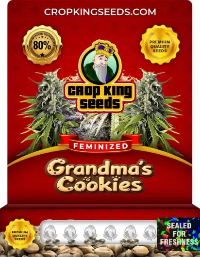Grandma's Cookies Strain