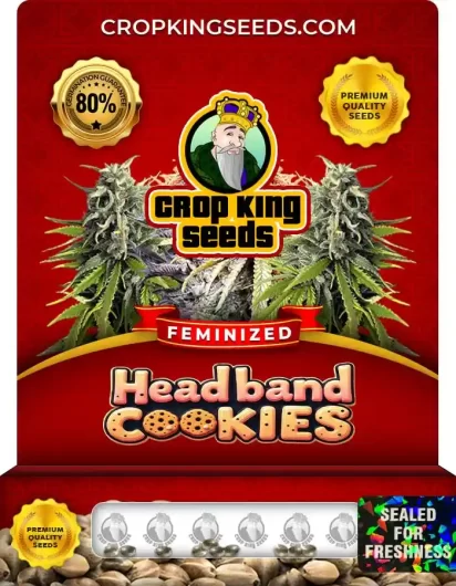 Headband Cookies Strain