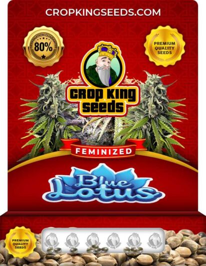 Blue Lotus Strain