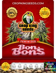 Bon Bons Strain