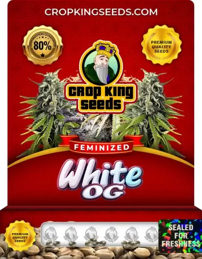 White OG Strain