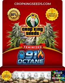 91 Octane Feminized