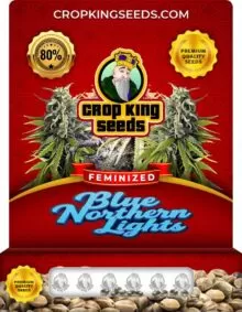 Blue Northern Lights Strain