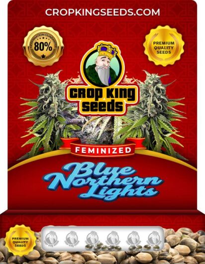 Blue Northern Lights Strain