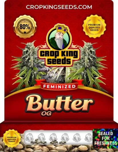 Butter OG Strain