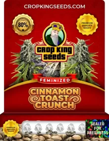 Cinnamon Toast Crunch Feminized