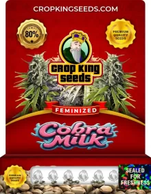 Cobra Milk Feminized