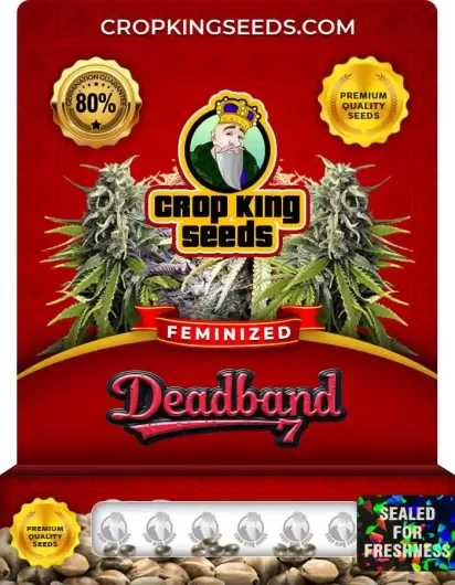 Deadband 7 Feminized