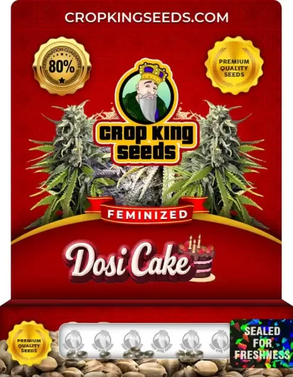 Dosi Cake Feminized