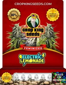Electric Lemonade Feminized