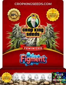 Figment Feminized