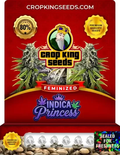 Indica Princess Feminized