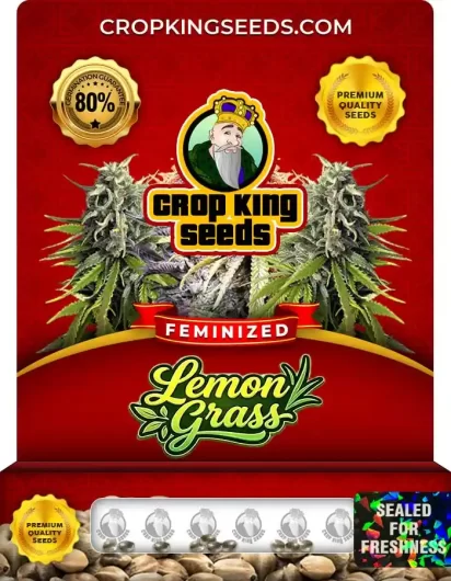 Lemon Grass Feminized