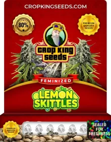 Lemon Skittles Feminized