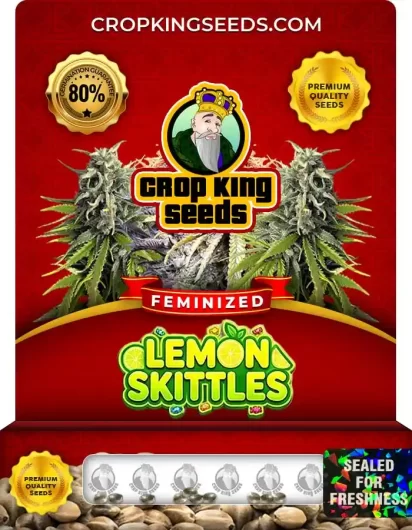 Lemon Skittles Feminized