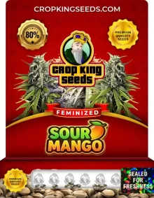 Sour Mango Feminized