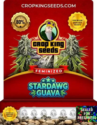 Stardawg Guava Feminized
