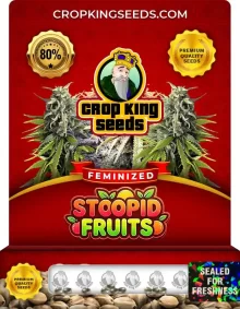 Stoopid Fruits Feminized