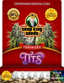 Tits Feminized