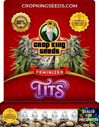 Tits Feminized
