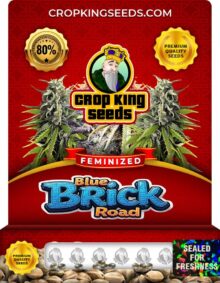 Blue Brick Road Strain