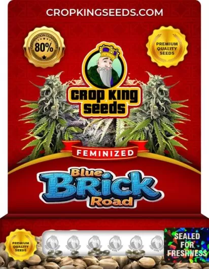 Blue Brick Road Strain