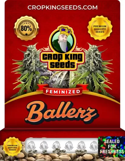 Ballerz Strain