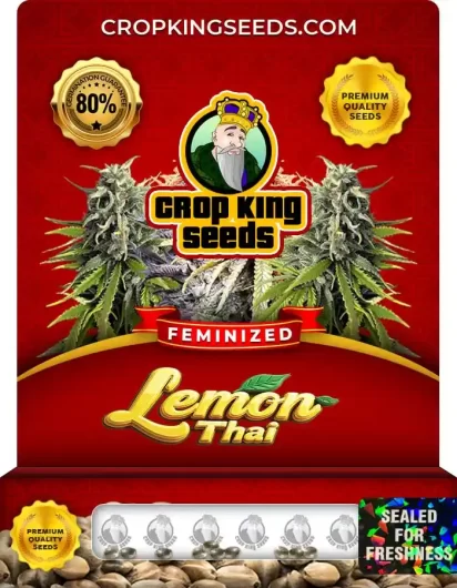 Lemon Thai Strain