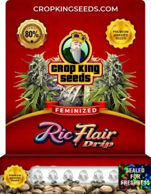 Ric Flair Drip Strain