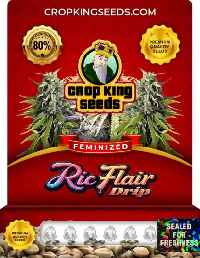 Ric Flair Drip Strain