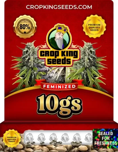 10gs Feminized