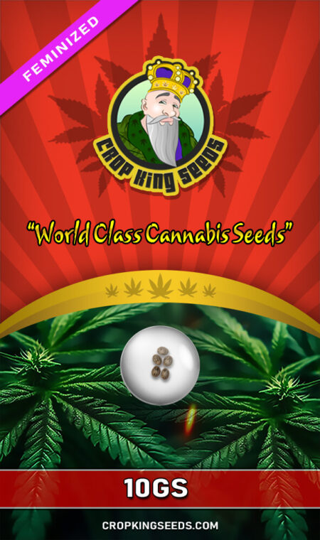 10gs Feminized