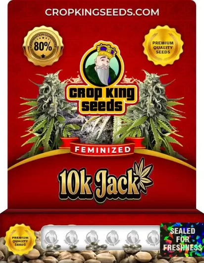 10k Jack Feminized