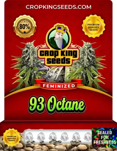 93 Octane Feminized