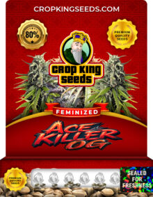 Ace Killer OG Strain