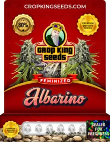 Albarino Feminized