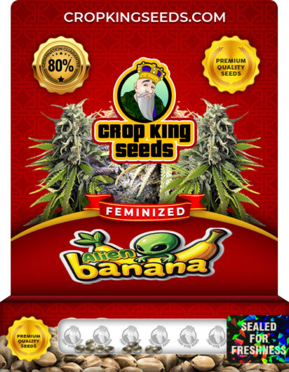 Alien Banana Strain Feminized