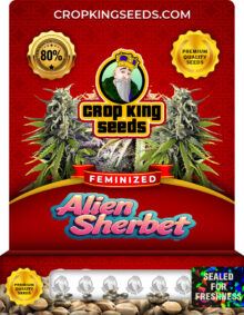 Alien Sherbert Feminized