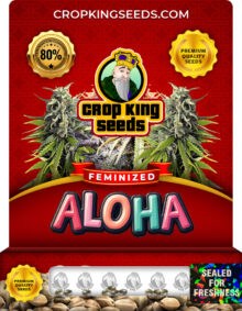 Aloha Feminized